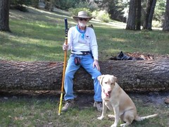 HIKING/WALKING STICK MADE FROM NEW MEXICO YUCCA PLANT FLOWER STALK NUMBER 34