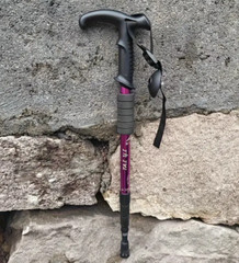 1X Trekking Poles Nordic Walking Hiking Sticks Adjustable Anti-shock Alpenstock
