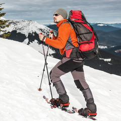 Aluminum Trekking Poles – Quick Adjustable Locks, Comfort Handle, Padded Strap,