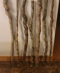 BEAUTIFUL!! Set of 7 FRESH Cut Vine Twisted Stick with Bark~ Read Description