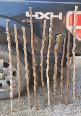 🔥BEAUTIFUL! Set of 10 FRESH Cut Vine Twisted Stick with Bark~ Read Description