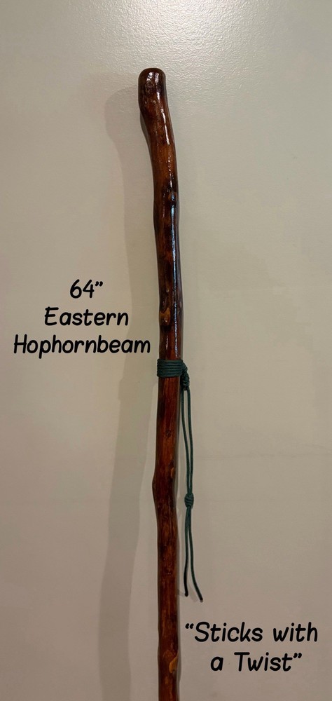 64” Eastern Hophornbeam Hiking Stick Handmade & Finished 🇺🇸
