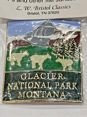 Lot of 4 Hike America Walking Stick Badges Mounts: Colorado Kings Canyon Glacier