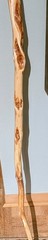 50″ – Hand Carved Diamond Willow – Finished with apoxy – Hiking /Walking Stick