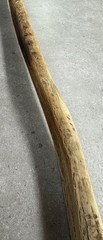 VTG Weathered Driftwood Skinny Tall Walking Stick 63.5″ Strong Staff OOAK Raw MN