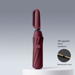 Auto Open Close Umbrella with 10 Reinforced Ribs and Hook for Carrying