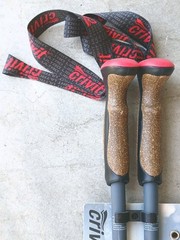 Pair Of crivet Trail Poles