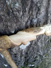Handmade Snake/Python Cane Solid One Piece Walking Stick