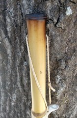 Bamboo Walking Stick Staff Hand Wrap Fire Cured Deer Antler Lanyard