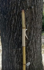 Bamboo Walking Stick Staff Hand Wrap Fire Cured Deer Antler Lanyard