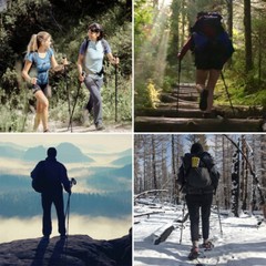 2* Adjustable Trekking Poles Hiking Nordic Walking Sticks Anti-shock Alpenstock