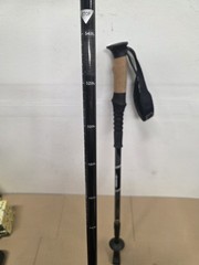 Cascade Mountain Tech Street Walking Sticks
