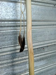 Handmade Rustic Crooked Walking Stick Feathered Staff
