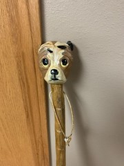 Hand Carved Natural Wood Hiking Walking Stick Cane Great Handle 52” Dog Head