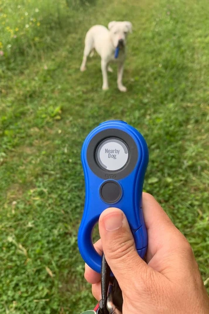 LynQ Smart Compass Tracker GPS – Blue – Great Condition Works Great Reset Ready