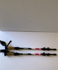 Berry Pink Trail Buddy Trekking Poles with Bag, Nice Gently Used Condition