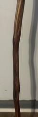 54” Natural Vine Twisted Dogwood Walking Stick Cane Wood Staff Trekking 4” Grip