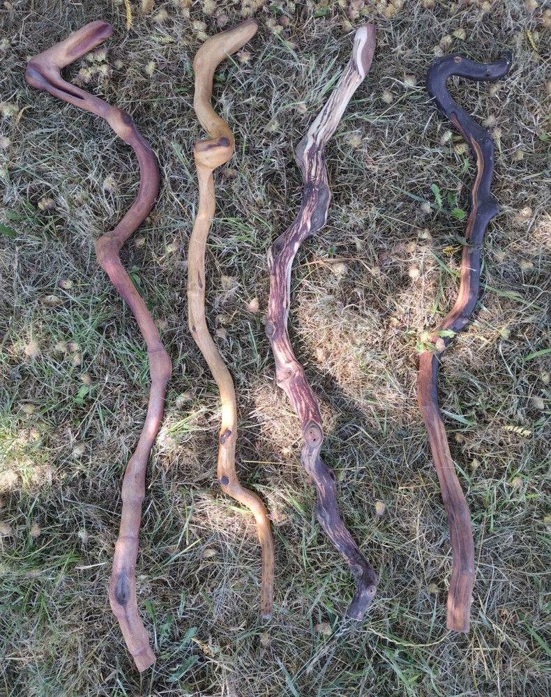 (4 Lot) Sanded Wood Walking Staffs Sticks Gandalf Hiking Trekking 38-41″ Long