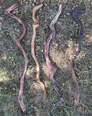 (4 Lot) Sanded Wood Walking Staffs Sticks Gandalf Hiking Trekking 38-41″ Long