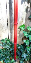 65″ – Bamboo – Walking Hiking Trekking Stick/Staff – Paracord Grip & Strap – #55
