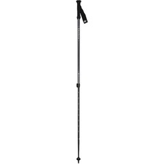 Black Diamond Explorer 2 Trekking Poles Ink Blue, One Size