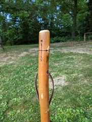 Compass Carved Walking Stick, Hand-carved Hiking Staff, Made in USA
