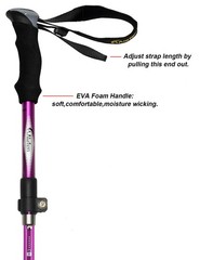 Aluminum Collapsible Ultralight Travel Trekking Hiking Pole for Men and Women…
