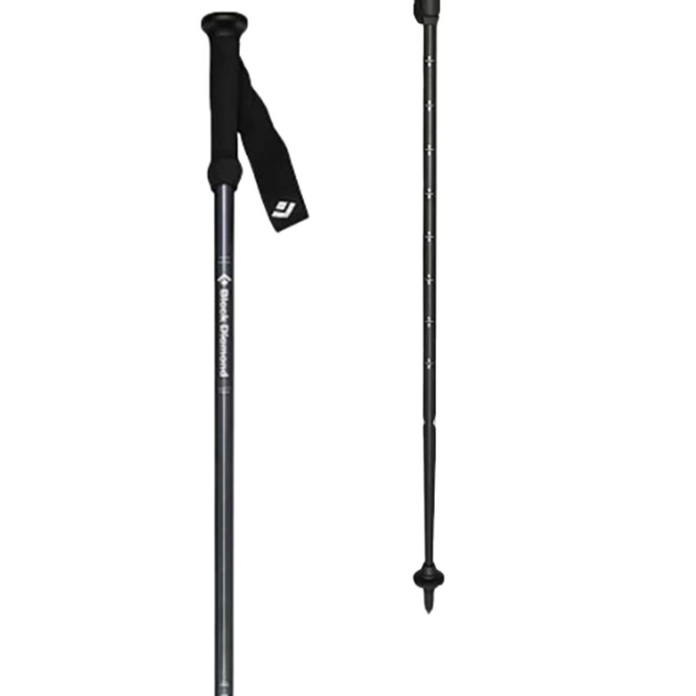 Black Diamond Explorer 2 Trekking Poles Ink Blue, One Size