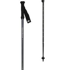 Black Diamond Explorer 2 Trekking Poles Ink Blue, One Size