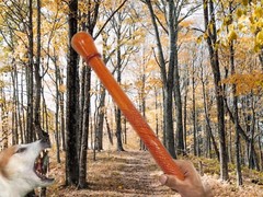 Carved Wood Walking Sticks – 47” w Safety Whistle