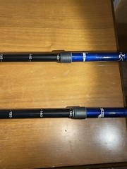 Blue ll Bean Snow Trek Hiking Retractable Hiking Stick