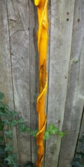 43″ Hand Carved Spiral Mulberry Walking Stick Cane w/ Brass Skull Top Handle #28