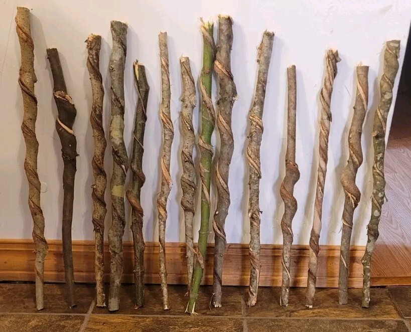 Set of 14 FRESH Cut Vine Twisted Stick FAIRY WANDS with Bark~ Read Description