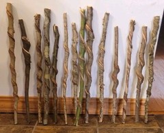 Set of 14 FRESH Cut Vine Twisted Stick FAIRY WANDS with Bark~ Read Description