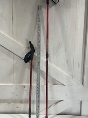 Sportline Total Fitness Performance Walking Poles Aluminum Trekking Sticks E