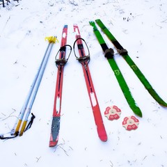 2 Pcs Walking Stick Holders Snow Basket Tips for Poles Hiking and Mud
