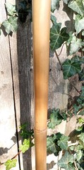 Bamboo Staff – 62″ – Walking Hiking Trekking Stick – Paracord Grip & Strap – #20