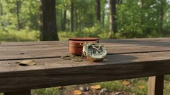 Beautiful Brass Sundial Compass/Brown Leather Case & Chain | Push Open Compass
