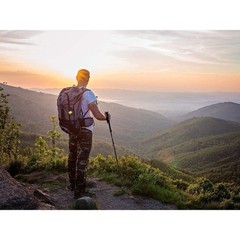Lightweight Aluminum Trekking Poles Adjustable Cork Handles All Terrain Hiking