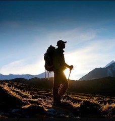 Trekking Pole Hiking Walking Stick Anti-shock Adjustable, Buy 2 And Save More