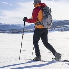 Yukon Charlie’s Pro Trekking Poles