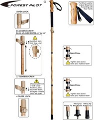 Adjustable Lightweight Trekking Pole – Collapsible Hiking Stick, 1-pc Pack