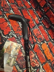 Leki Wanderfreund Speed Lock – Trekking Hiking Pole – Extends Up To 48″ – NEW