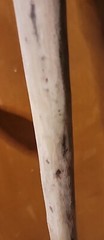 Walking Stick Hiking Strong Hand-Made Solid Real Natural Wood Virginia USA 47″
