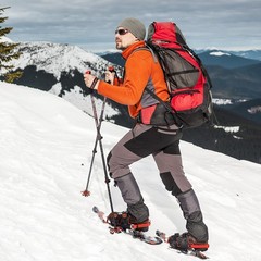 G2 Go2Gether Explorer Trekking Hiking Poles Walking Sticks Canes