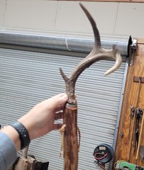 TracerX Trekking Company WALKING STICKS HIKING CAMPING RENAISSANCE CUSTOM MADE