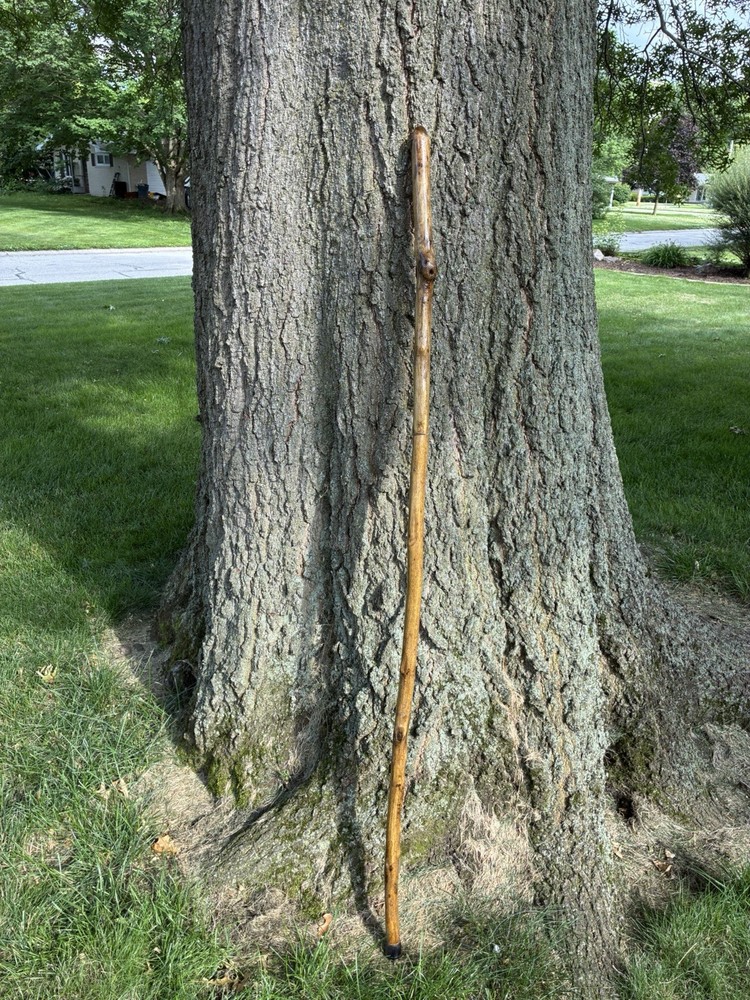 Walking Stick With Whistle And Compass That Unscrews Into Three Pieces