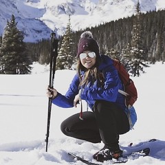Yukon Charlies Elite Trekking Poles