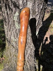 walking /hiking staff