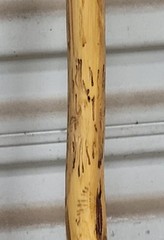 CUSTOM CEDAR STICKS TREK HIKE CAMP PARACORD OR LEATHER WRAP OR LANYARD+COMPASS
